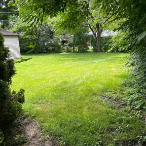 turf care by F&M LAWNCARE reviewed on May 27, 2025