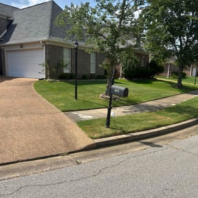 grass maintenance by Uppercuts Lawn Care reviewed on August 15, 2025