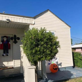 Bush Trimming by Robert'sLawnMGMT reviewed on August 15, 2025