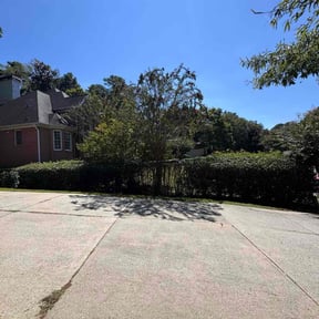 Bush Trimming by Azys lawn care  reviewed on October 24, 2025