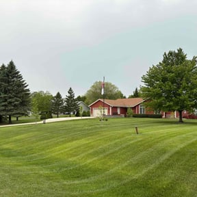 yard care by Peaks Property Maintenance reviewed on August 19, 2025