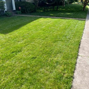 Landscaping by Green Earth Lawn and snow LLC reviewed on August 20, 2025