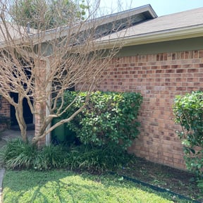 Bush Trimming by Big Horn Landscaping reviewed on May 7, 2024