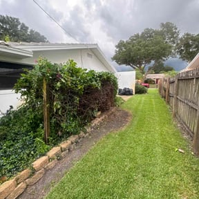 Bush Trimming by PerfectCutLawn reviewed on August 17, 2025