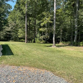 yard care by Precision Lawn Care of VA reviewed on November 18, 2025