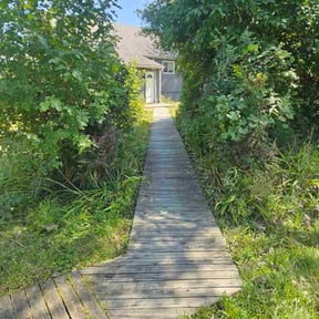 Bush Trimming by Haynes reviewed on November 24, 2025