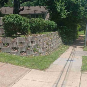 Bush Trimming by King lawncare reviewed on June 16, 2026