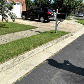 yard service by Allen Investments reviewed on August 15, 2025