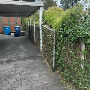 turf maintenance by Sbm reviewed on November 13, 2024