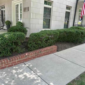 Leaf Removal by Keep It Green reviewed on June 6, 2026