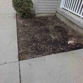 Flower Bed Weeding by Clouse Landscaping reviewed on August 14, 2026