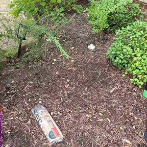 Flower Bed Weeding by Oasis Landscape reviewed on November 21, 2025