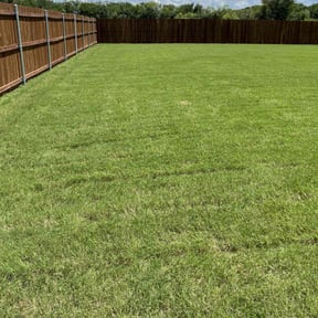 turf care by M &amp;M X-scape reviewed on August 19, 2025