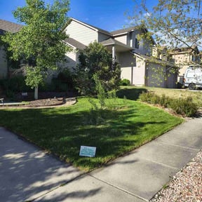 landscaping services by Mims lawncare and pressure washing reviewed on August 17, 2025
