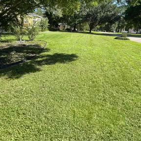 lawn care by Mann Services reviewed on August 21, 2025