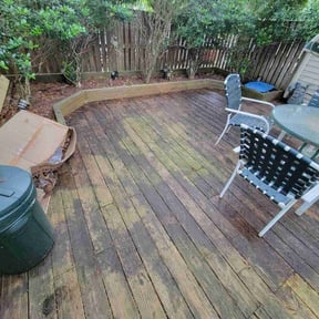 Leaf Removal by Turf care  reviewed on September 26, 2025