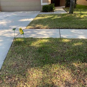 Bush Trimming by Bean Sprout Lawn Service LLC reviewed on August 17, 2025