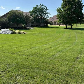 yard care by Individual reviewed on August 17, 2025