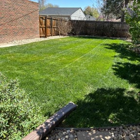 residential landscaping by Timothy Inge reviewed on August 16, 2025