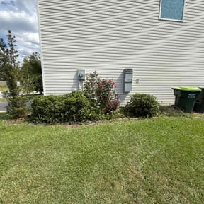 Bush Trimming by ,All We Do Is Care reviewed on October 21, 2025