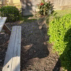 Flower Bed Weeding by AKbProduction reviewed on November 8, 2025