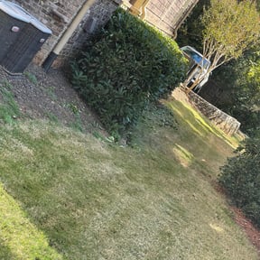 Bush Trimming by Sunrise Lawn Care reviewed on August 15, 2025