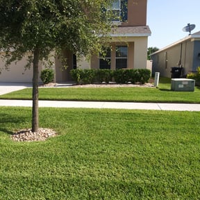 Bush Trimming by Tim's grass service reviewed on August 18, 2025