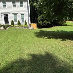 yard work by Grass Munchers reviewed on August 16, 2025