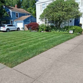 landscaping services by All Around The House reviewed on November 22, 2025