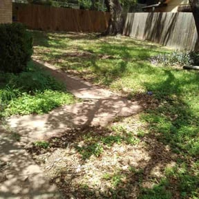 Bush Trimming by American lawn care reviewed on August 19, 2025