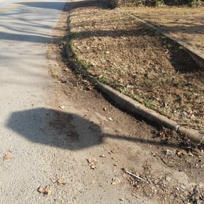 Leaf Removal by Mako Property Solutions, LLC reviewed on September 18, 2025