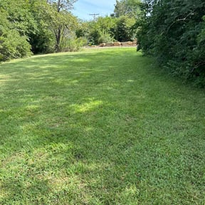 residential landscaping by Robert’s Mowing reviewed on November 26, 2025