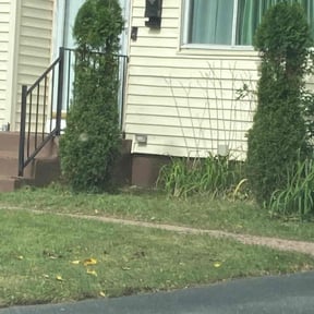 Bush Trimming by Steel Rockets Lawn Care reviewed on August 19, 2025