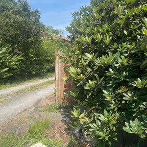 Bush Trimming by Affordable Lawn Care reviewed on October 20, 2025