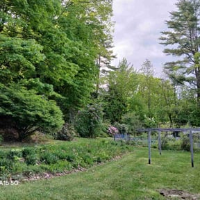 lawn maintenance by JES Lawn Service LLC reviewed on May 19, 2024
