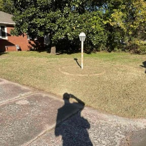 Leaf Removal by Reyes Brothers Multiservices llc reviewed on November 9, 2025