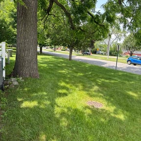 landscape maintenance by Picolo Landscaping reviewed on December 15, 2022