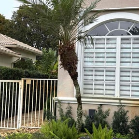 Bush Trimming by Creating a better Landscaping reviewed on January 19, 2026