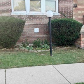 Bush Trimming by Maltos Landscaping LLC reviewed on November 22, 2025