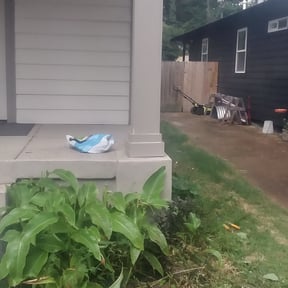 Bush Trimming by Reil Lawn Company LLC reviewed on August 18, 2025