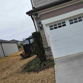 Bush Trimming by Jurassic Lawn reviewed on December 17, 2025