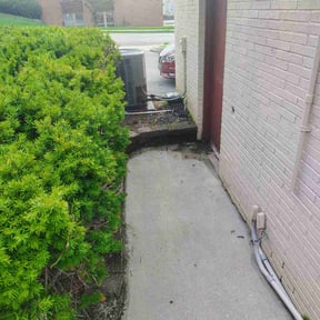 Bush Trimming by M&amp;D Lawncare reviewed on October 21, 2025