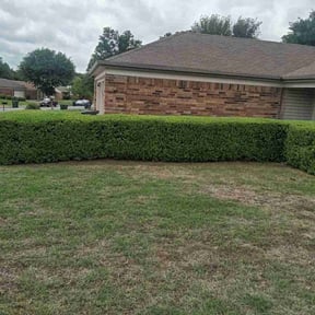 Bush Trimming by J9 Properties LLC reviewed on August 17, 2025