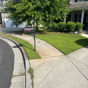 landscaping by Lawn Hub reviewed on August 18, 2025
