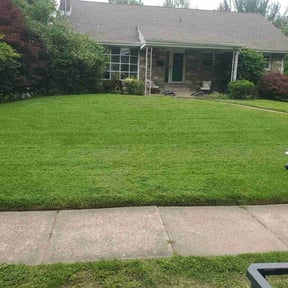 turf care by Padro Lawn and Window reviewed on April 25, 2025