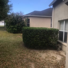 Bush Trimming by Brooks lawn Care reviewed on August 21, 2025