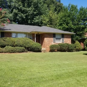 Bush Trimming by Coastal Lawnworx LLC reviewed on August 18, 2025