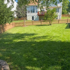 turf maintenance by Shawn Hussey Lawns reviewed on April 3, 2025