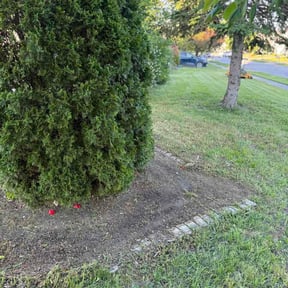 Flower Bed Weeding by Plant Based Business reviewed on May 20, 2026