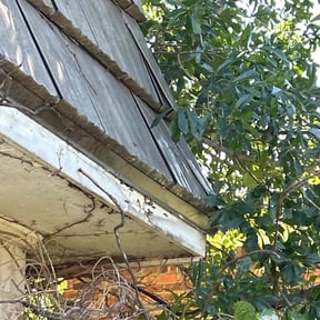 Bush Trimming by Residential maintenance reviewed on August 17, 2025